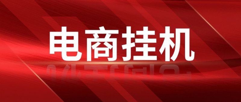 图片[1]-2025年暴利电商挂机项目，每月多赚5000+-社长轻创业